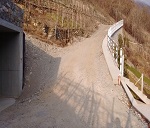 Progetto Villa di Tirano (SO) 02
