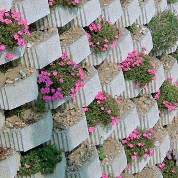 Muro Giardino